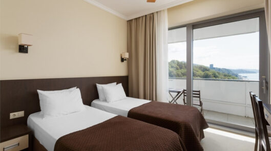 Стандарт 2-местный